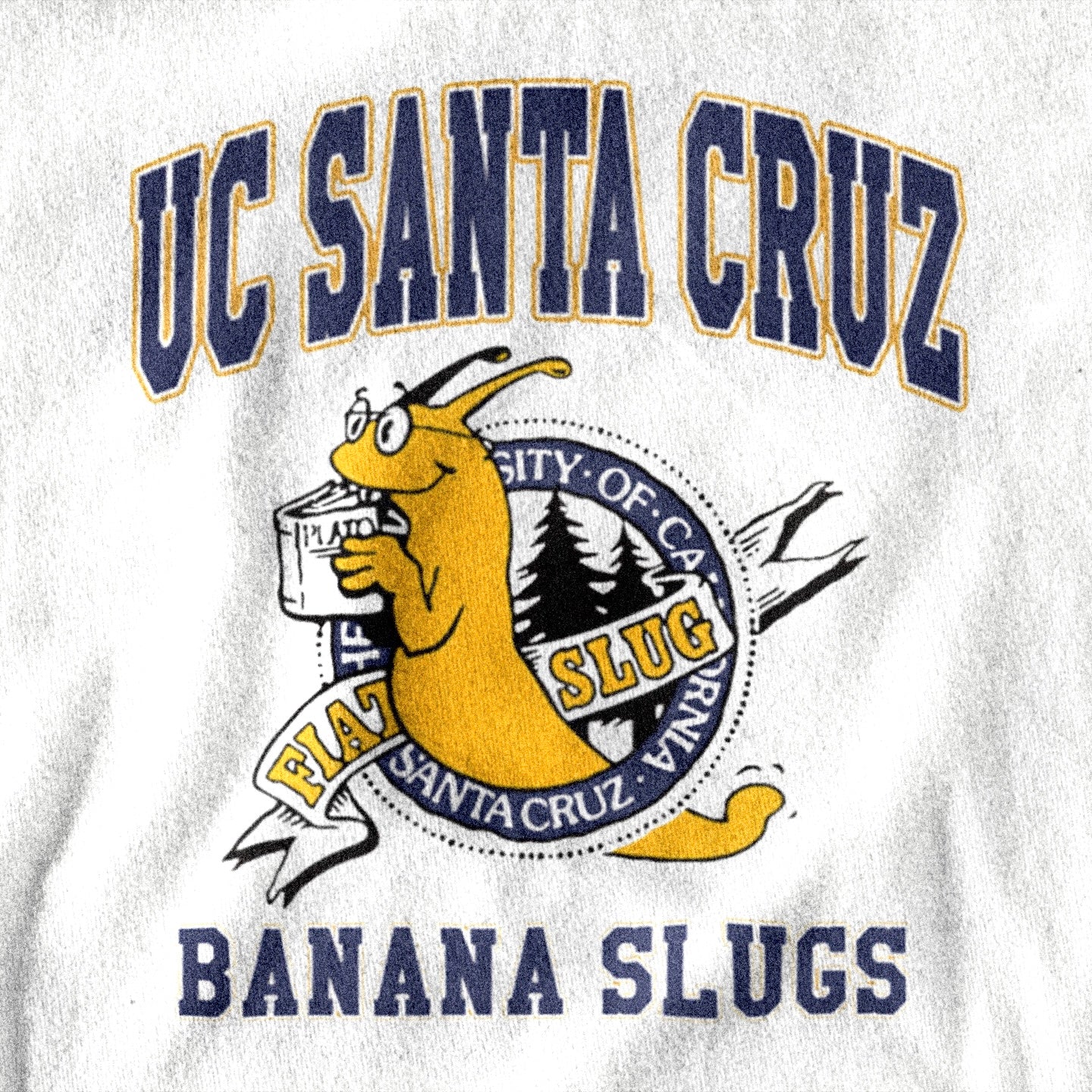 UC Santa Cruz - T shirt